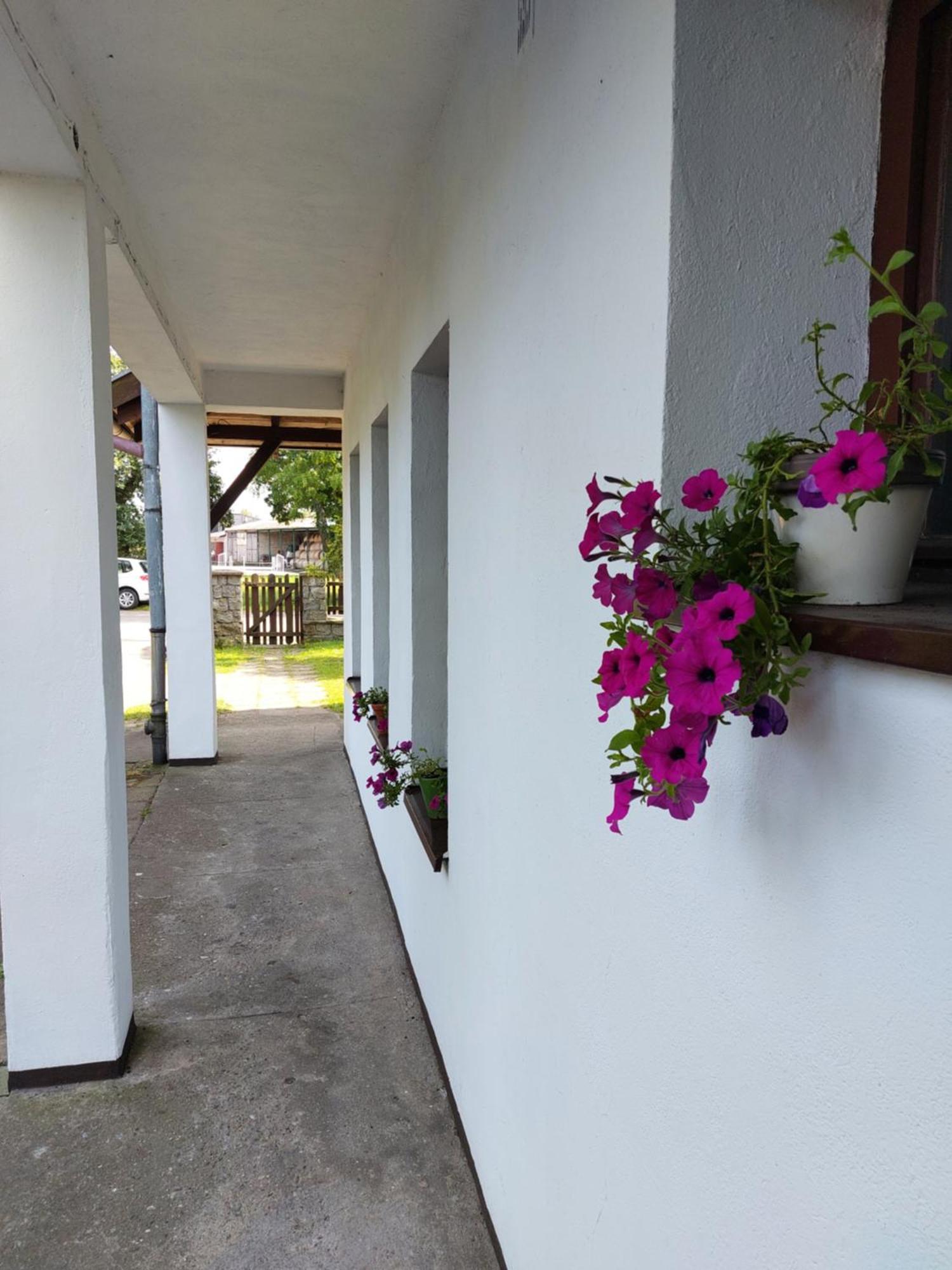 Apartament Baltic Łeba Zewnętrze zdjęcie